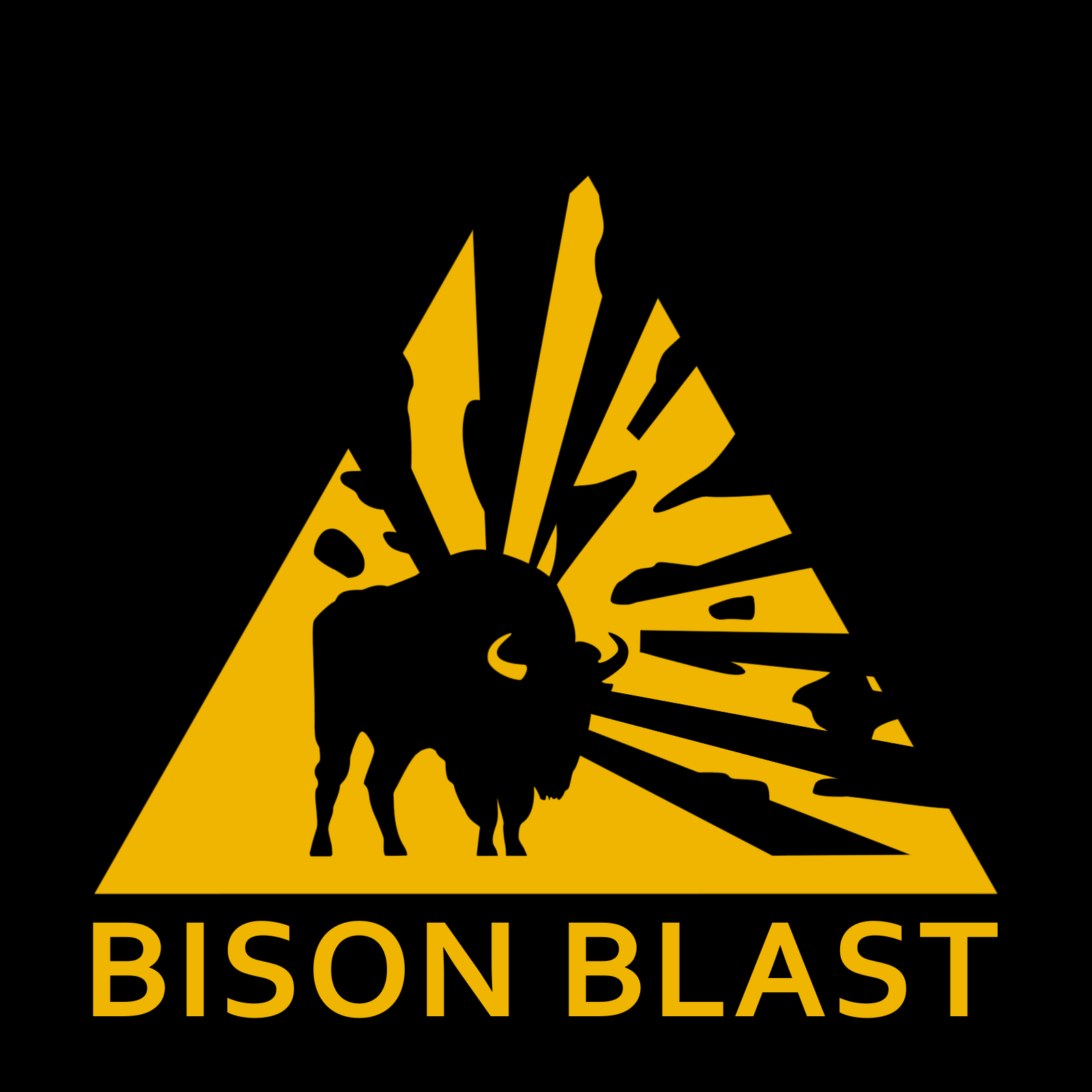 Bison Blast company logo